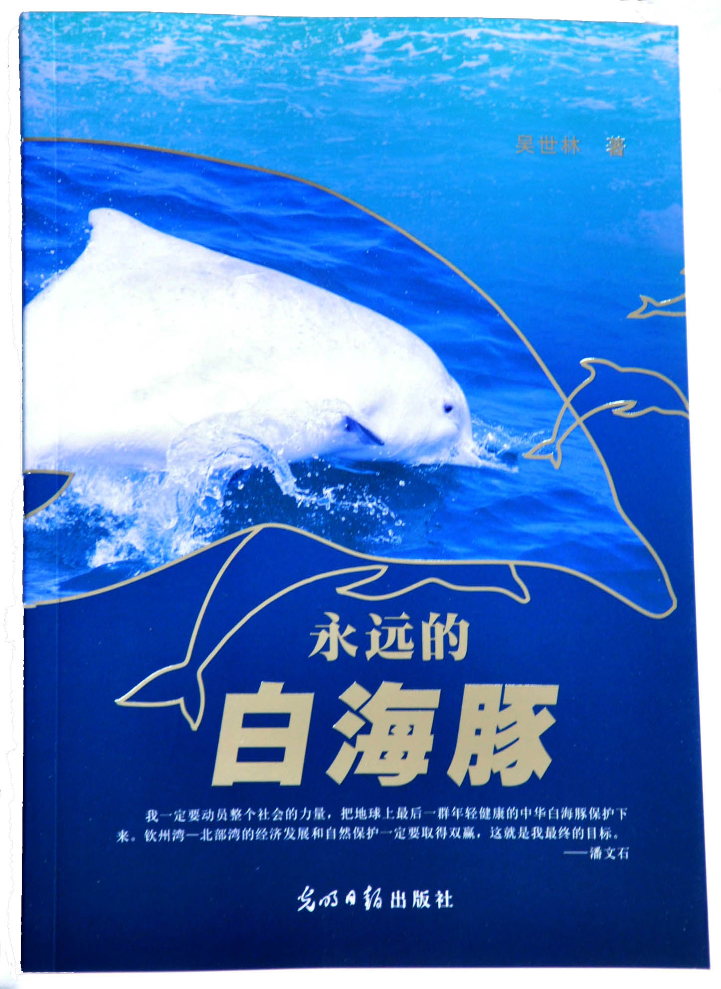 1583371511706547.jpg 永远的白海豚1(小).jpg