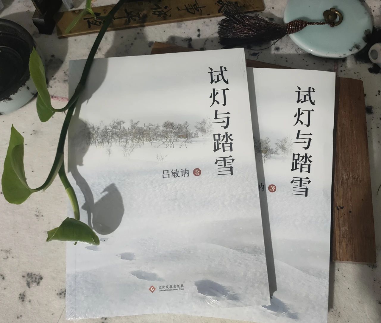 微信图片_20230111145237 微信图片_20230111145237